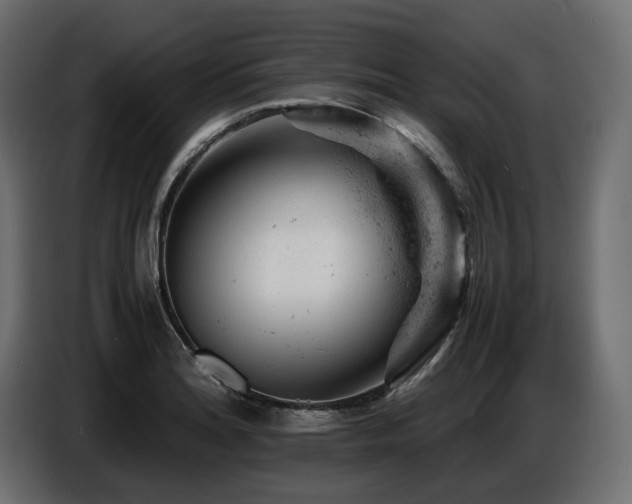 X0000087671180200705041005