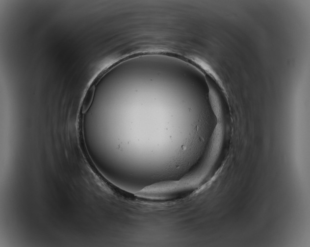 X0000087671181200705041005