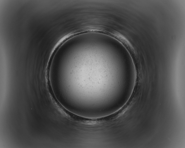 X0000087671182200705041005