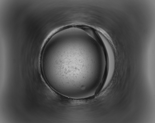 X0000087671183200705041005