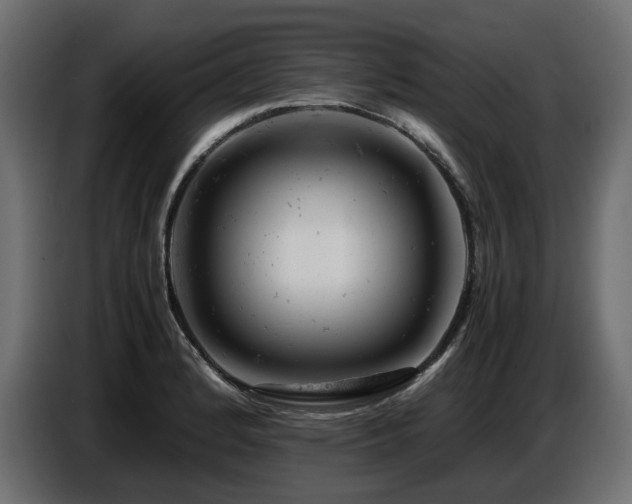 X0000087671184200705041005