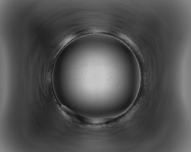 X0000087671185200705041005