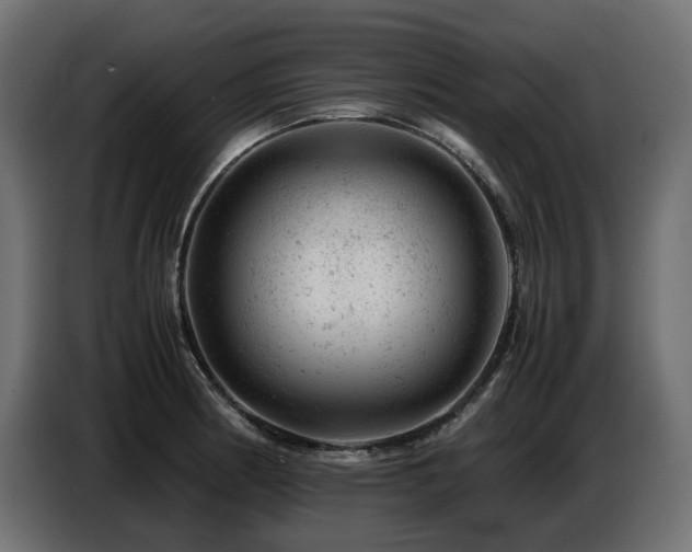 X0000087671186200705041005