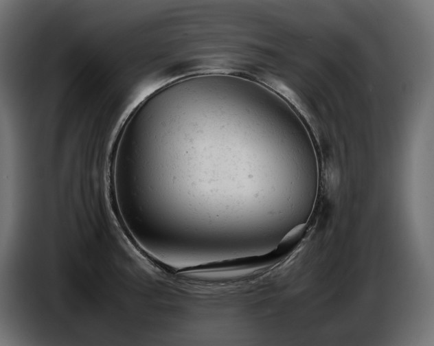 X0000087671187200705041005