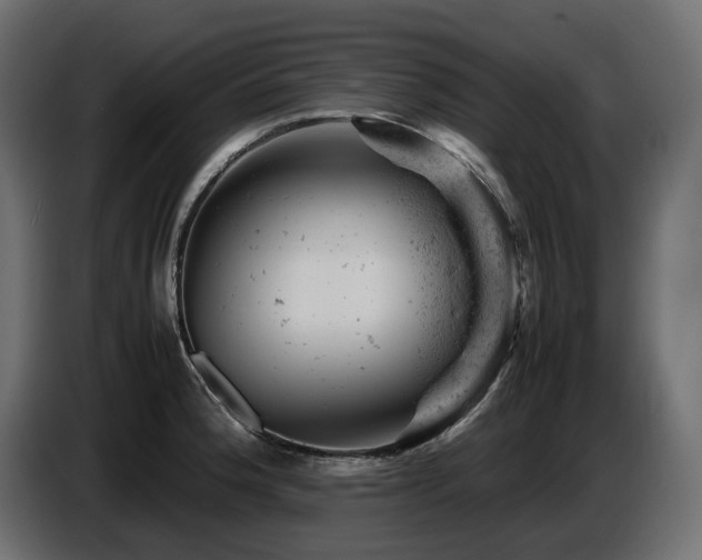 X0000087671188200705041005