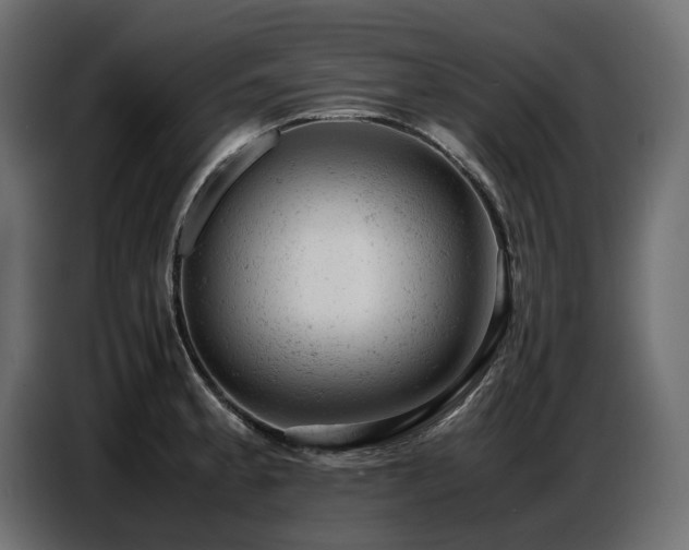 X0000087671189200705041005