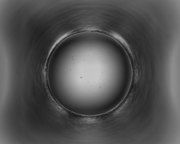 X0000087671190200705041005