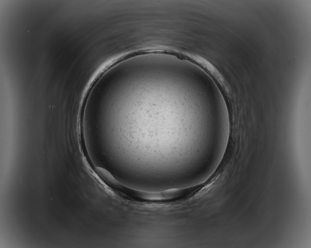 X0000087671191200705041005