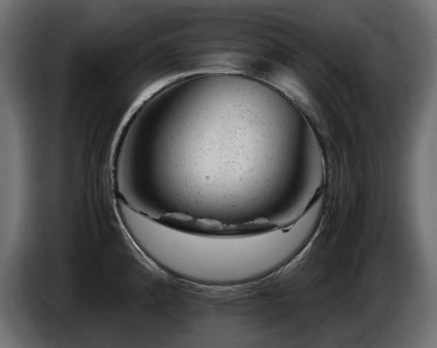 X0000087671192200705041005