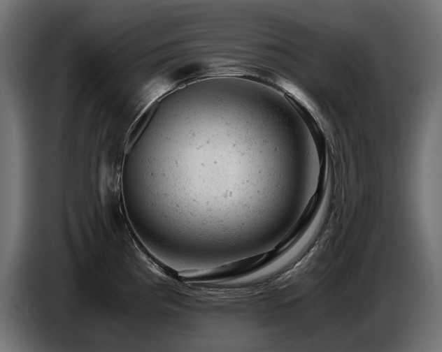 X0000087671193200705041005