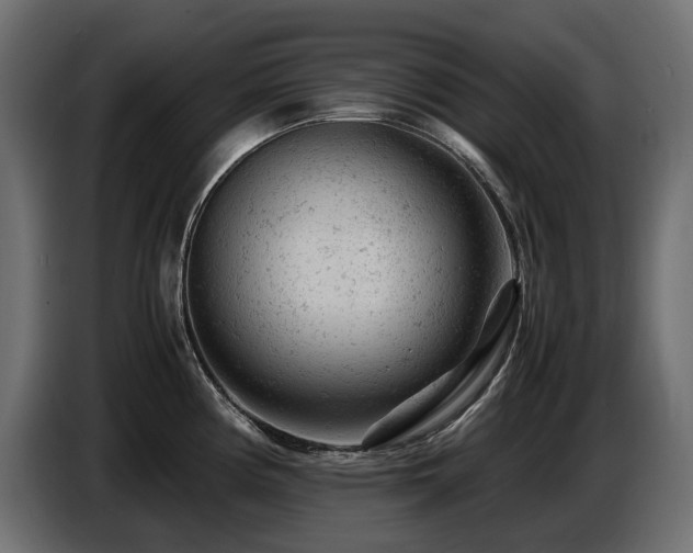 X0000087671194200705041005