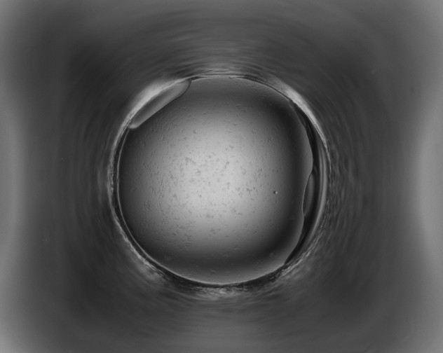 X0000087671195200705041005