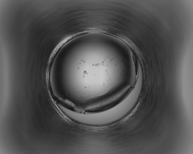 X0000087671196200705041005