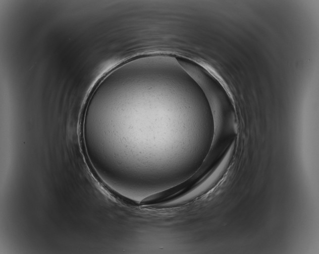 X0000087671197200705041005