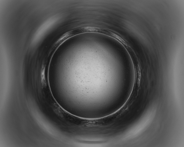 X0000087671198200705041005