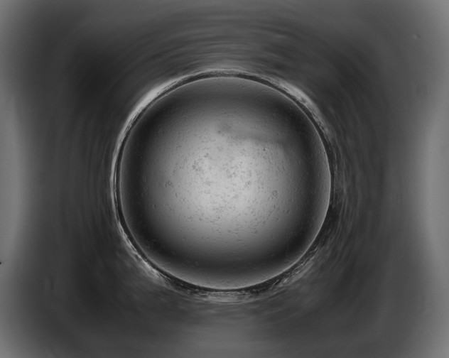 X0000087671199200705041005