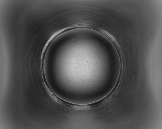 X0000087671200200705041005