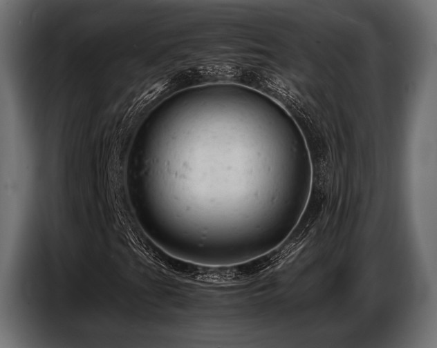 X0000087671201200705041004