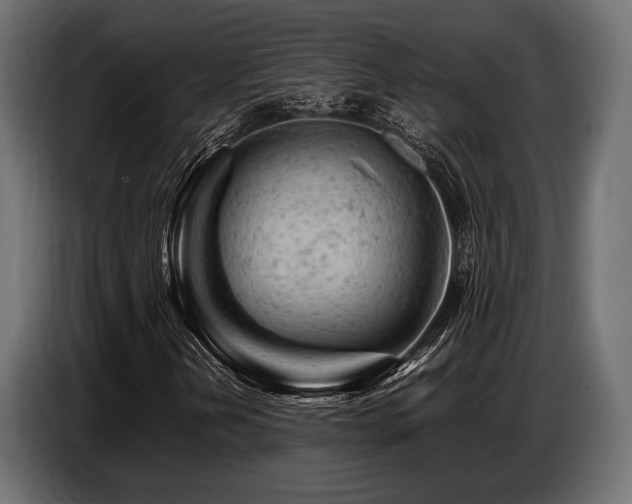 X0000087671202200705041004