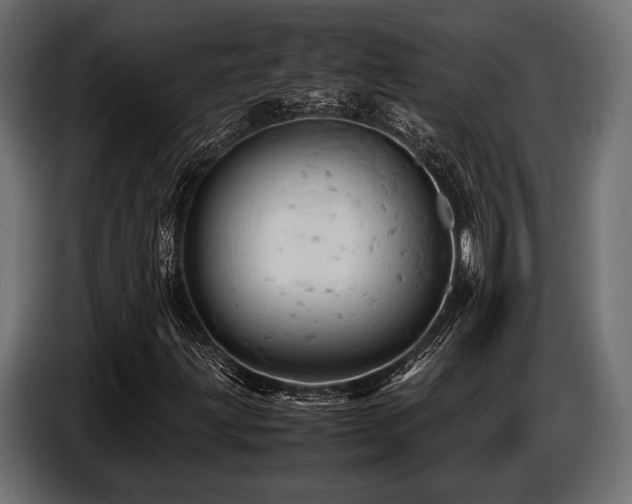 X0000087671203200705041004