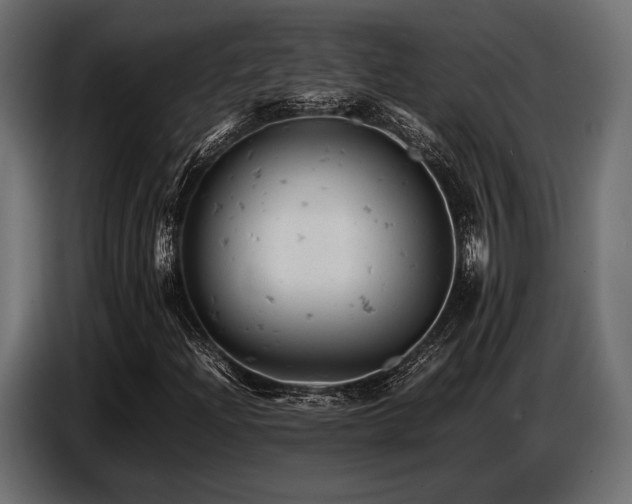 X0000087671204200705041004