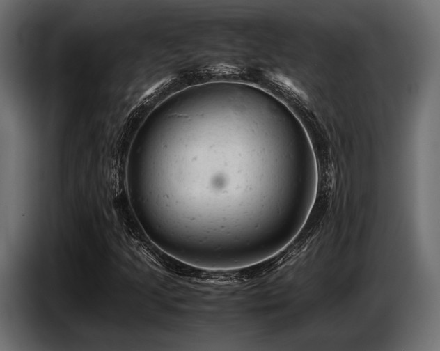 X0000087671205200705041004