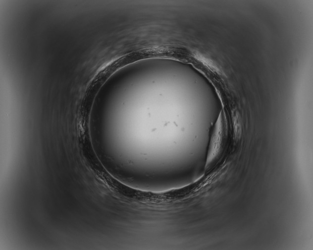 X0000087671206200705041004