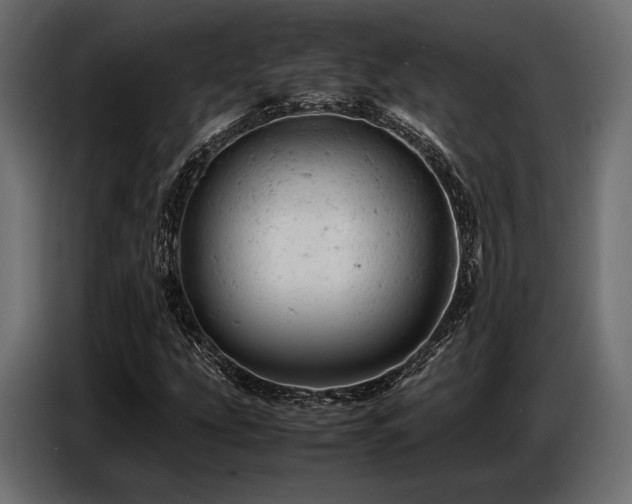 X0000087671207200705041004