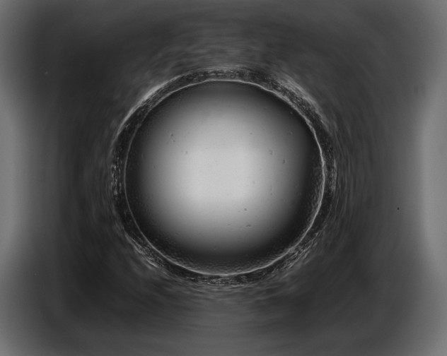 X0000087671208200705041004