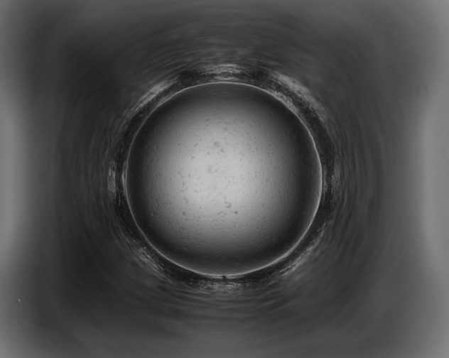 X0000087671209200705041004