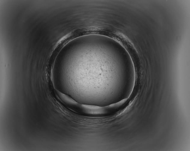 X0000087671210200705041004