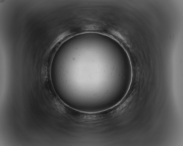 X0000087671211200705041004