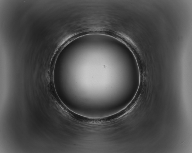 X0000087671212200705041004