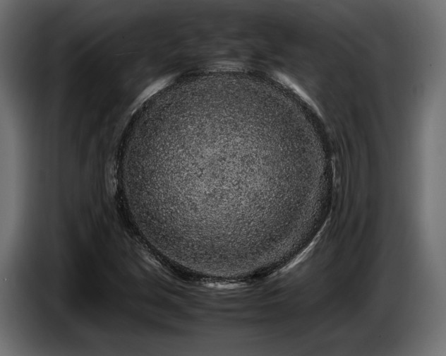 X0000087671213200705041004