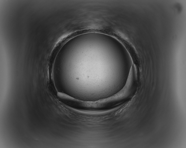 X0000087671214200705041004