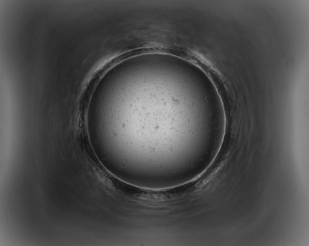 X0000087671215200705041004