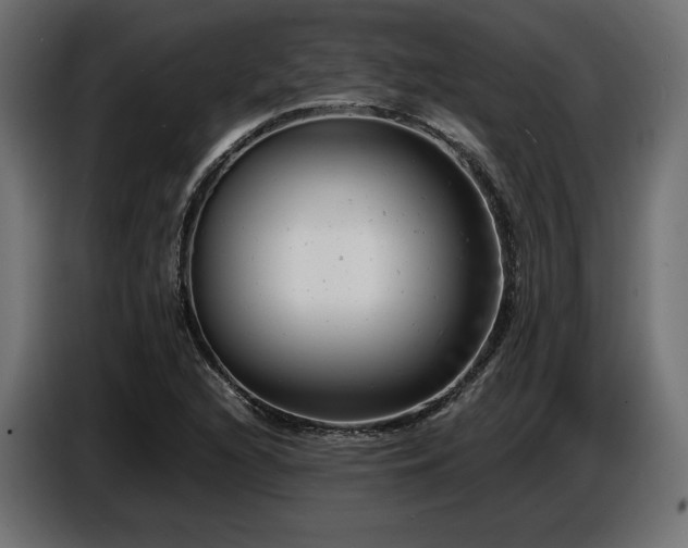 X0000087671216200705041004