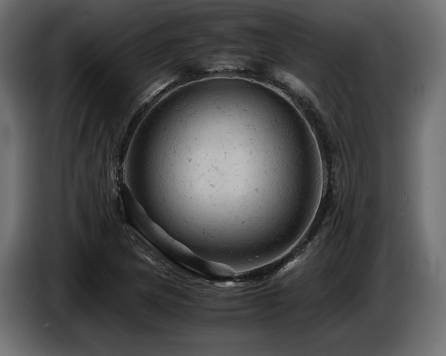 X0000087671217200705041004