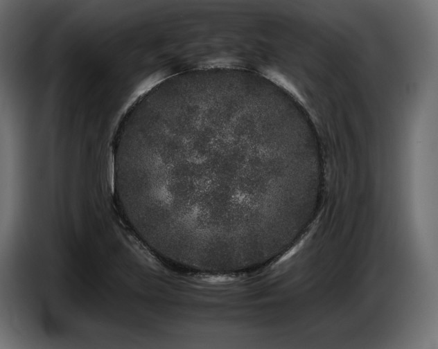 X0000087671219200705041004