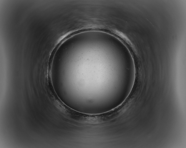 X0000087671220200705041004