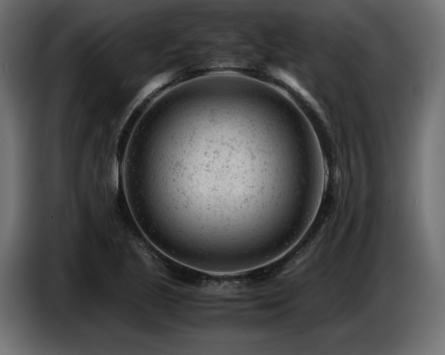 X0000087671221200705041004