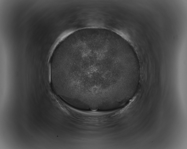 X0000087671223200705041004