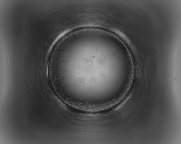 X0000087671224200705041004