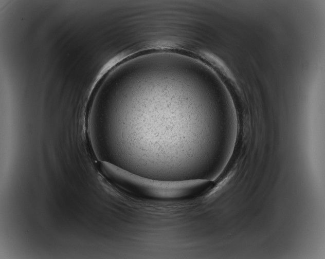 X0000087671226200705041004