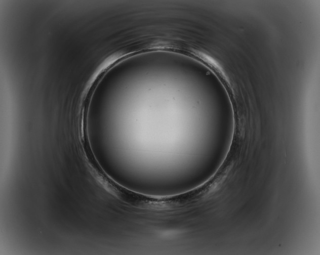 X0000087671227200705041004