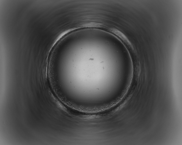 X0000087671228200705041004