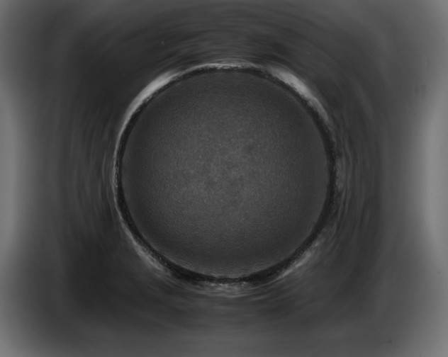 X0000087671229200705041004