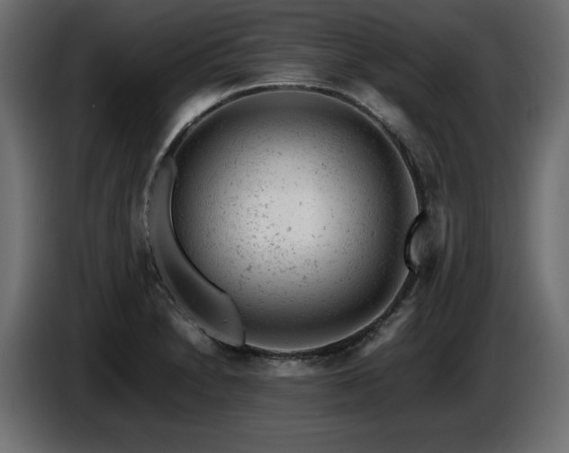 X0000087671230200705041004