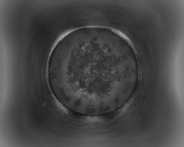 X0000087671231200705041004