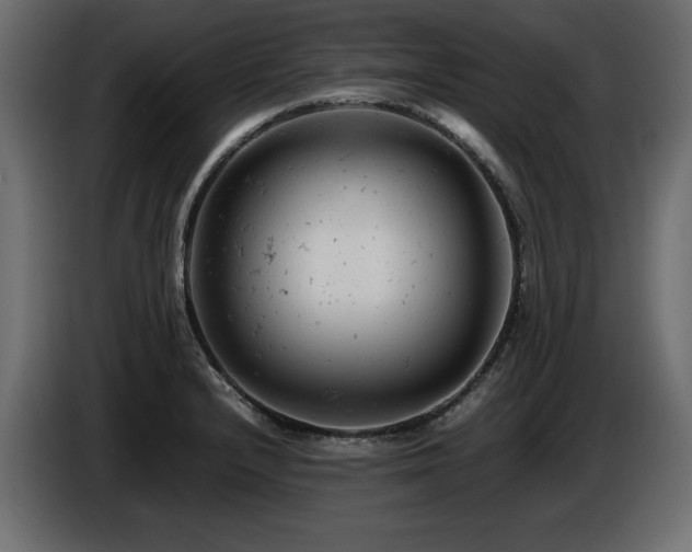 X0000087671232200705041004